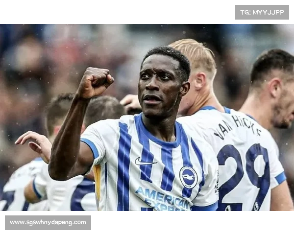 全方位全面解析维尔贝克被称黑贝的五大深层文化与文学影响成因探析