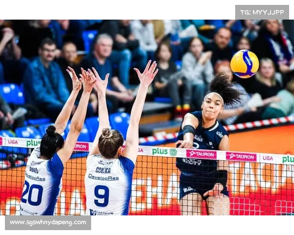 全面解析2023法国对波兰比赛的多平台观赛指南与实用技巧